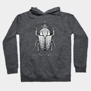 Goliath Beetle Hoodie